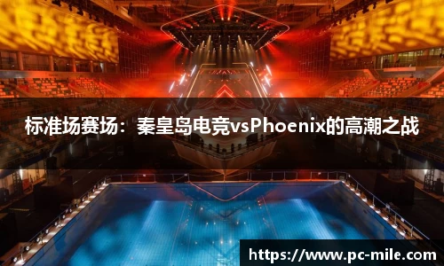 标准场赛场：秦皇岛电竞vsPhoenix的高潮之战